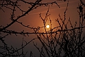 S. Damiano d'Asti - Alba_018